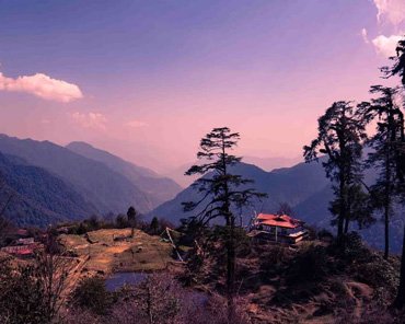 Landscape